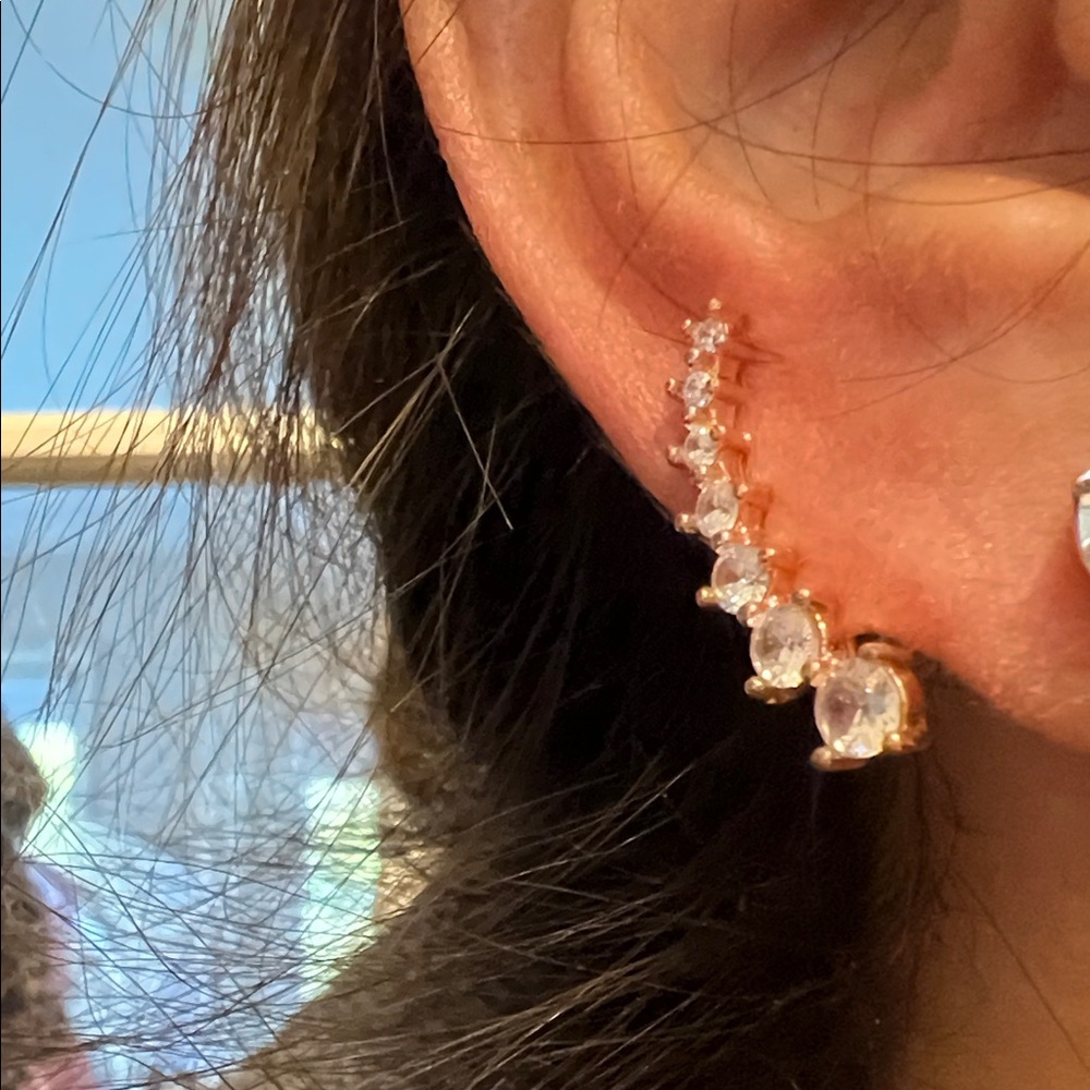 Elegant Gold and Silver Crystal Ear Climber Earrings